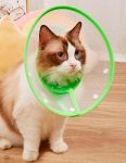 Cone de Proteção - Cachorro e Gato